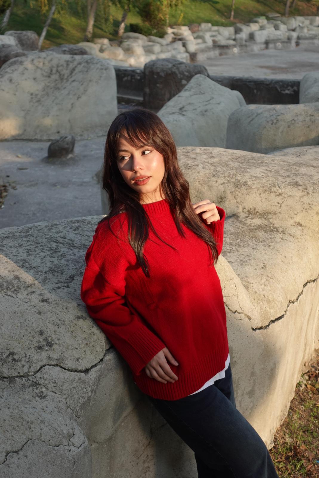 Bisiklet yaka triko kazak