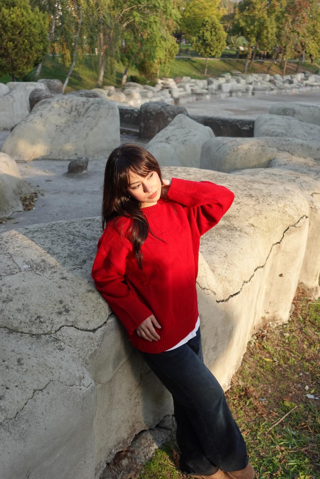 Bisiklet yaka triko kazak