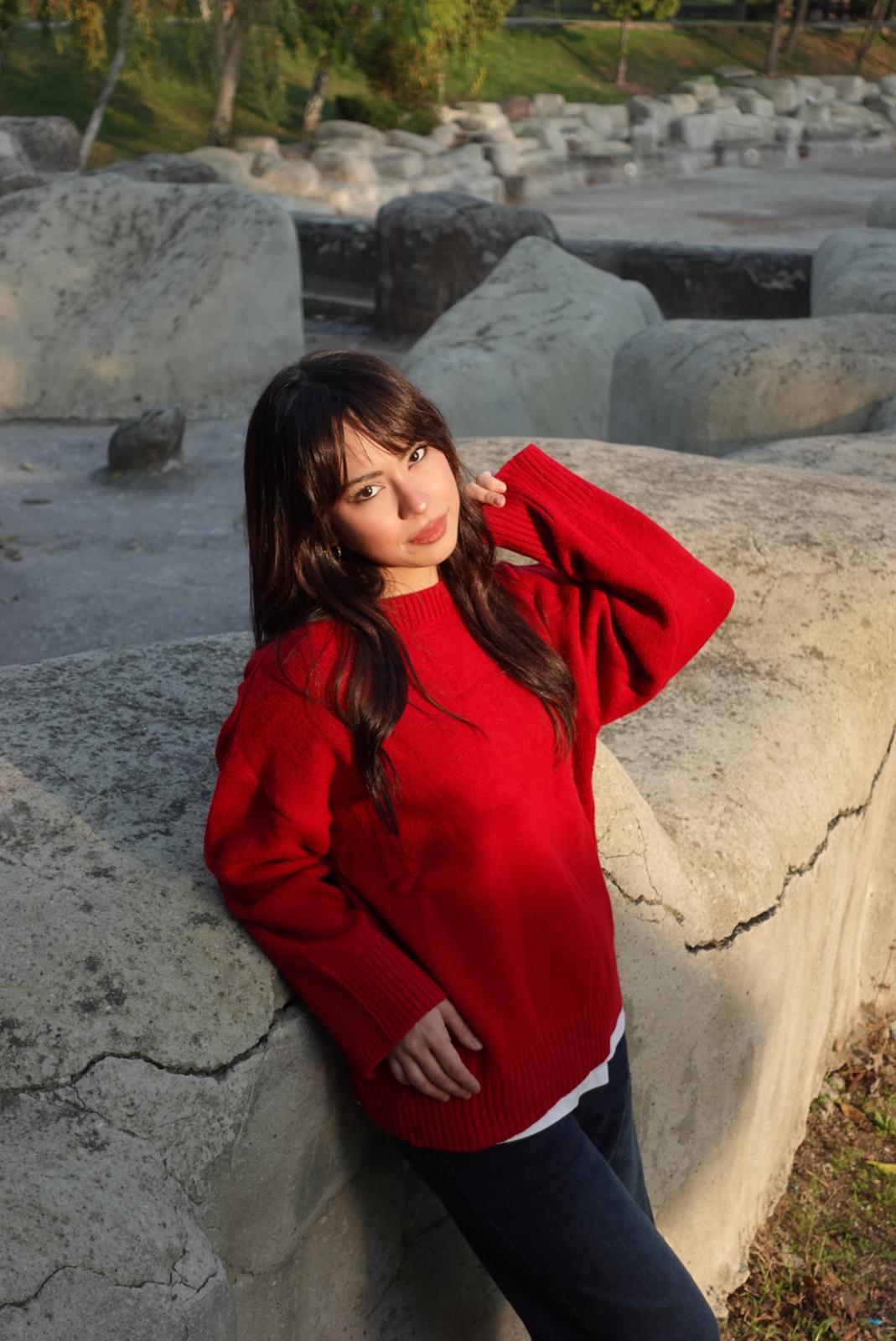 Bisiklet yaka triko kazak image