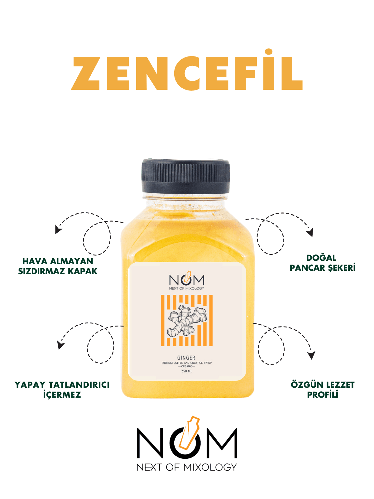 Zencefil Şurubu 250 ml