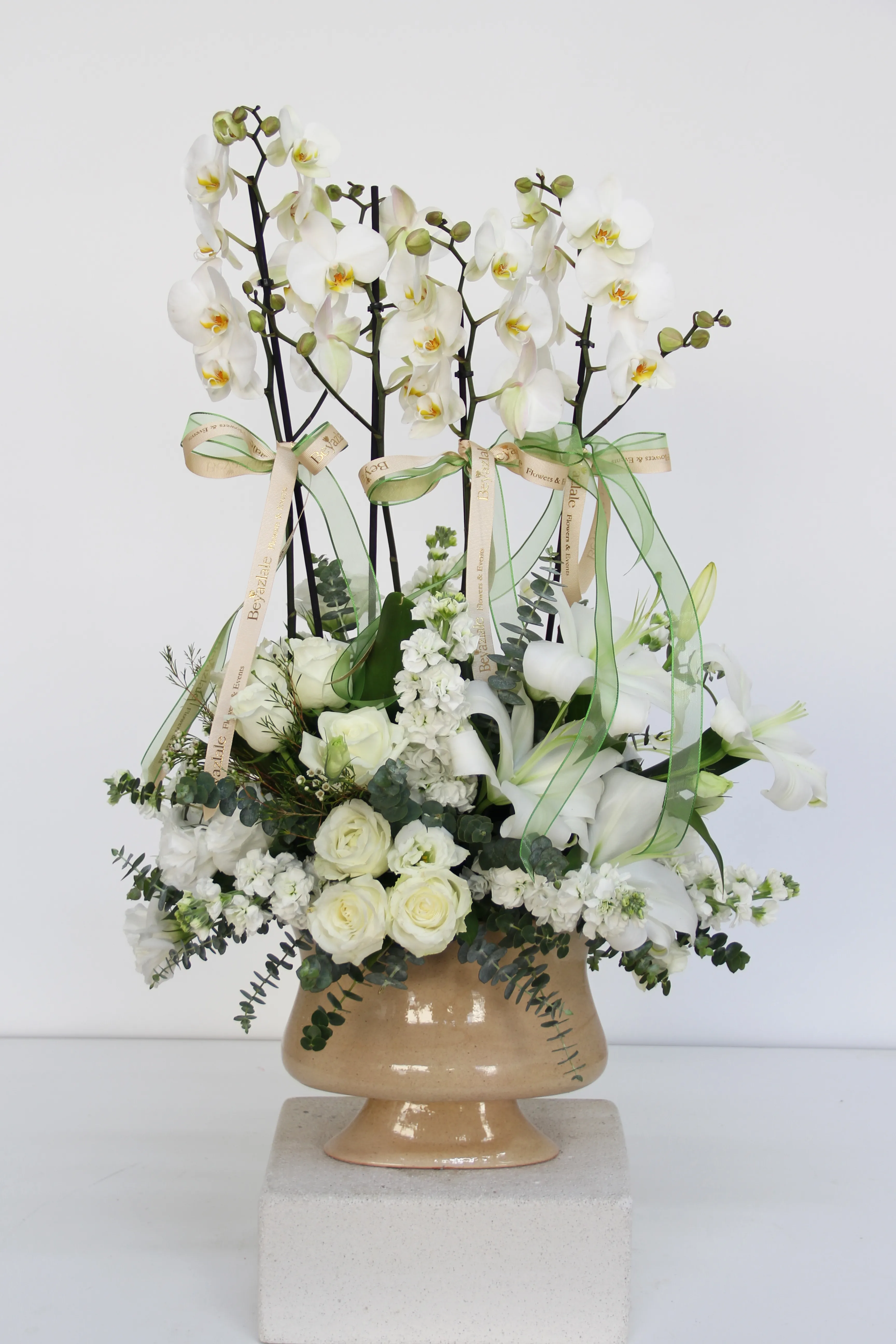 Orkide & Kazablanka Aranjmanı