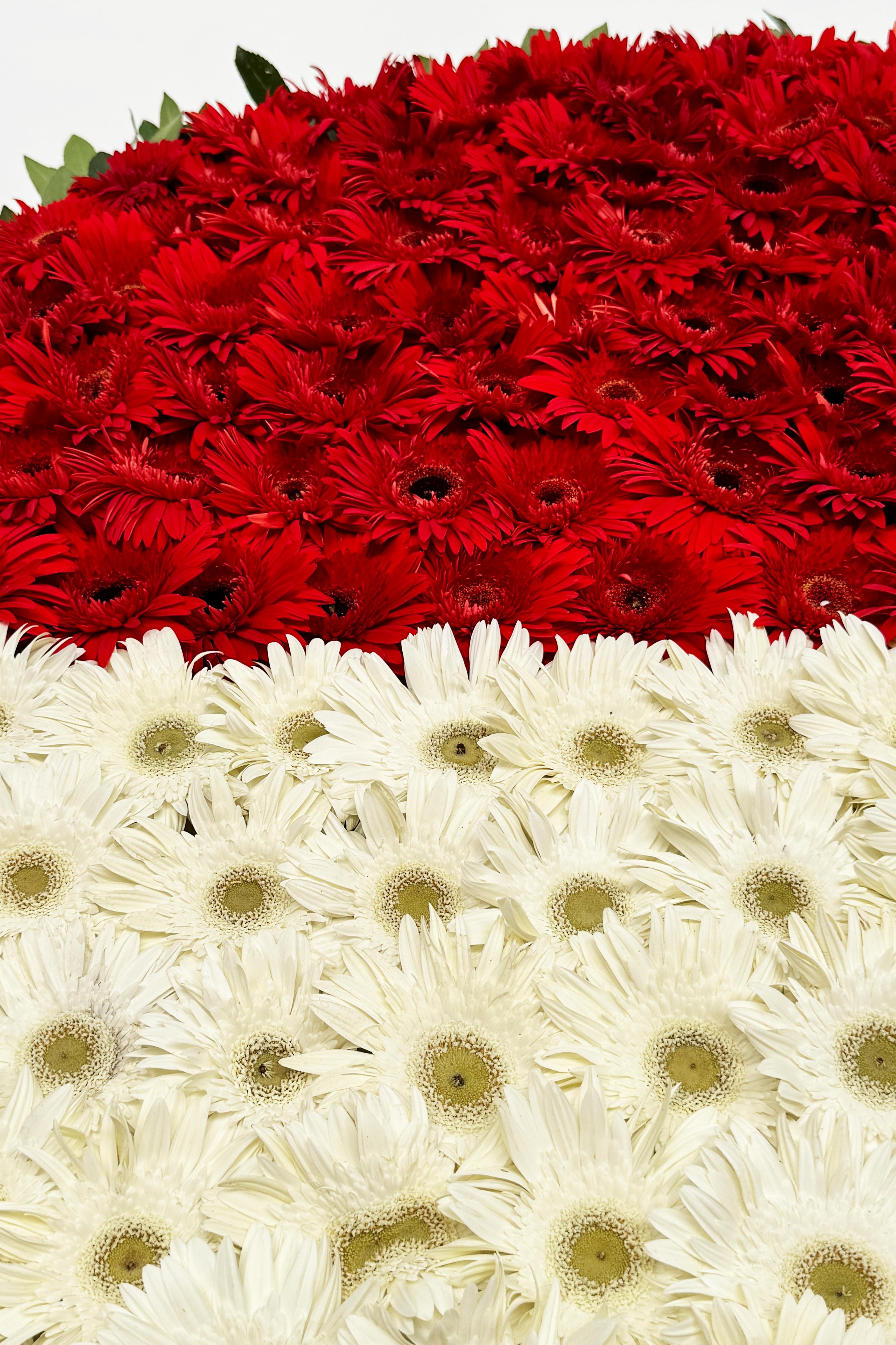Kırmızı & Beyaz Gerbera Çelenk