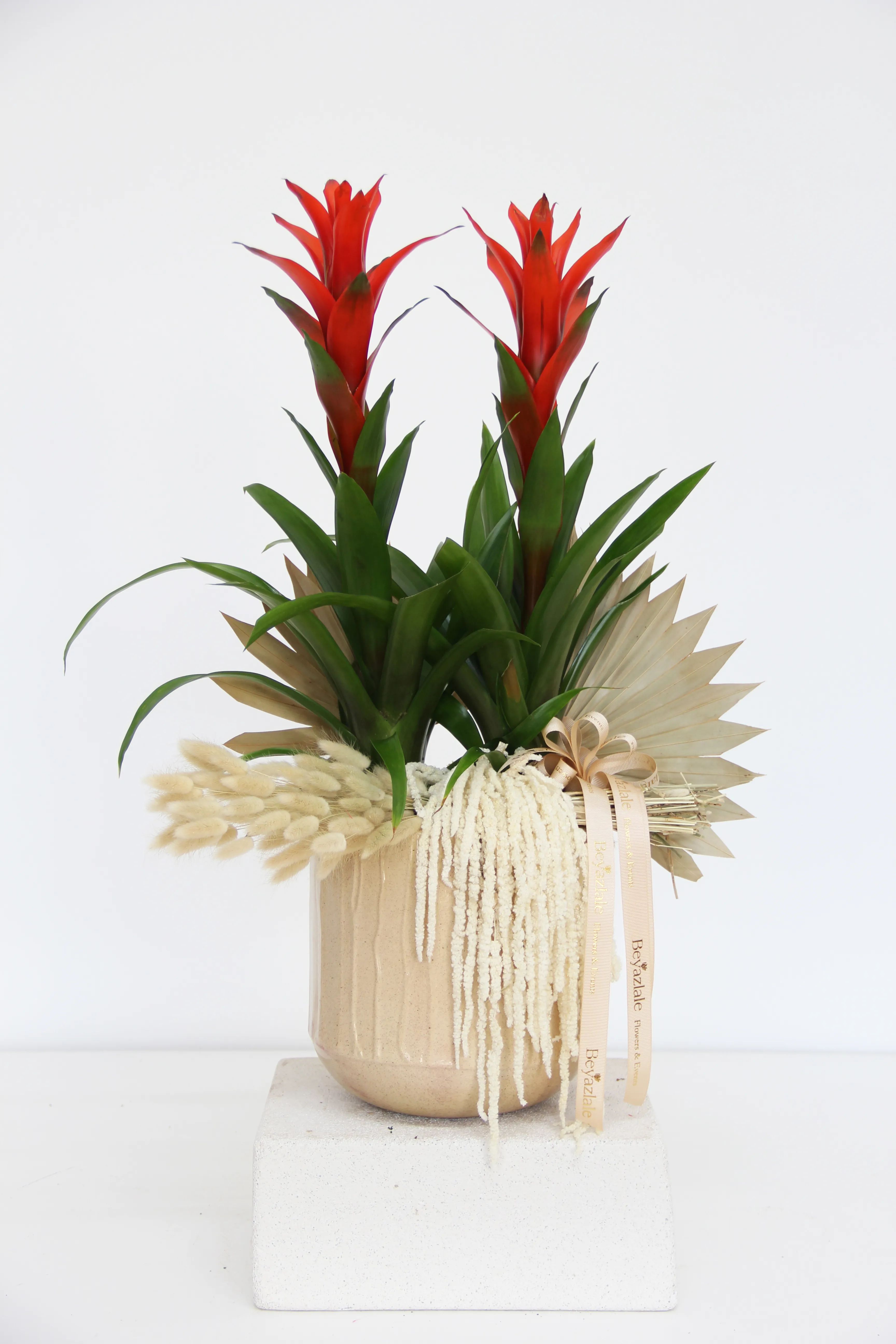 Guzmanya Çiçeği 2'li Aranjman