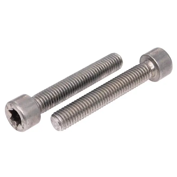 M4X5 Paslanmaz İmbus Torx Civata Iso14579 A2-304