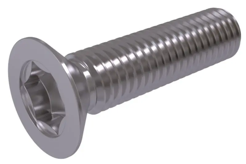 M2X5 INOX TORX HB VİDA DIN965TX A2-304