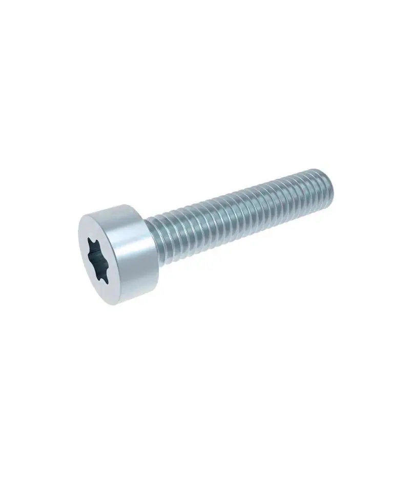 M3X20 Paslanmaz Torx İmbus Dın912Tx A2-304