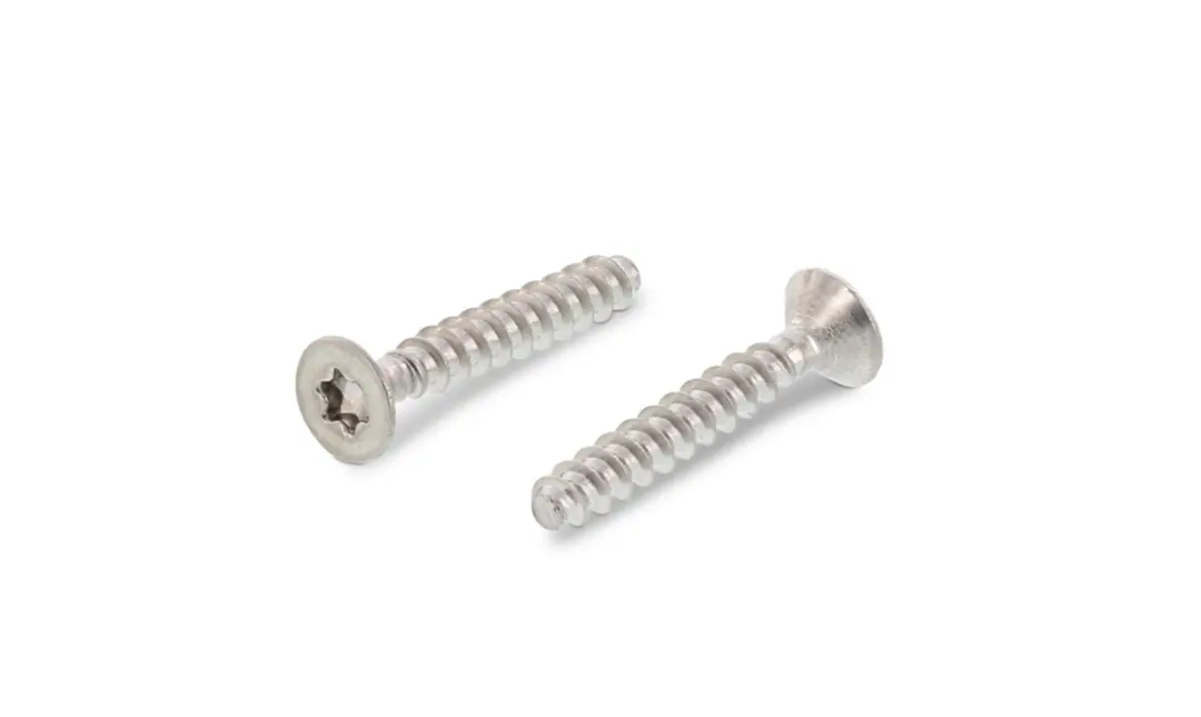 4X16 Paslanmaz Torx Hb Küt Uçlu Vida (Plastik Vidası) A2-304