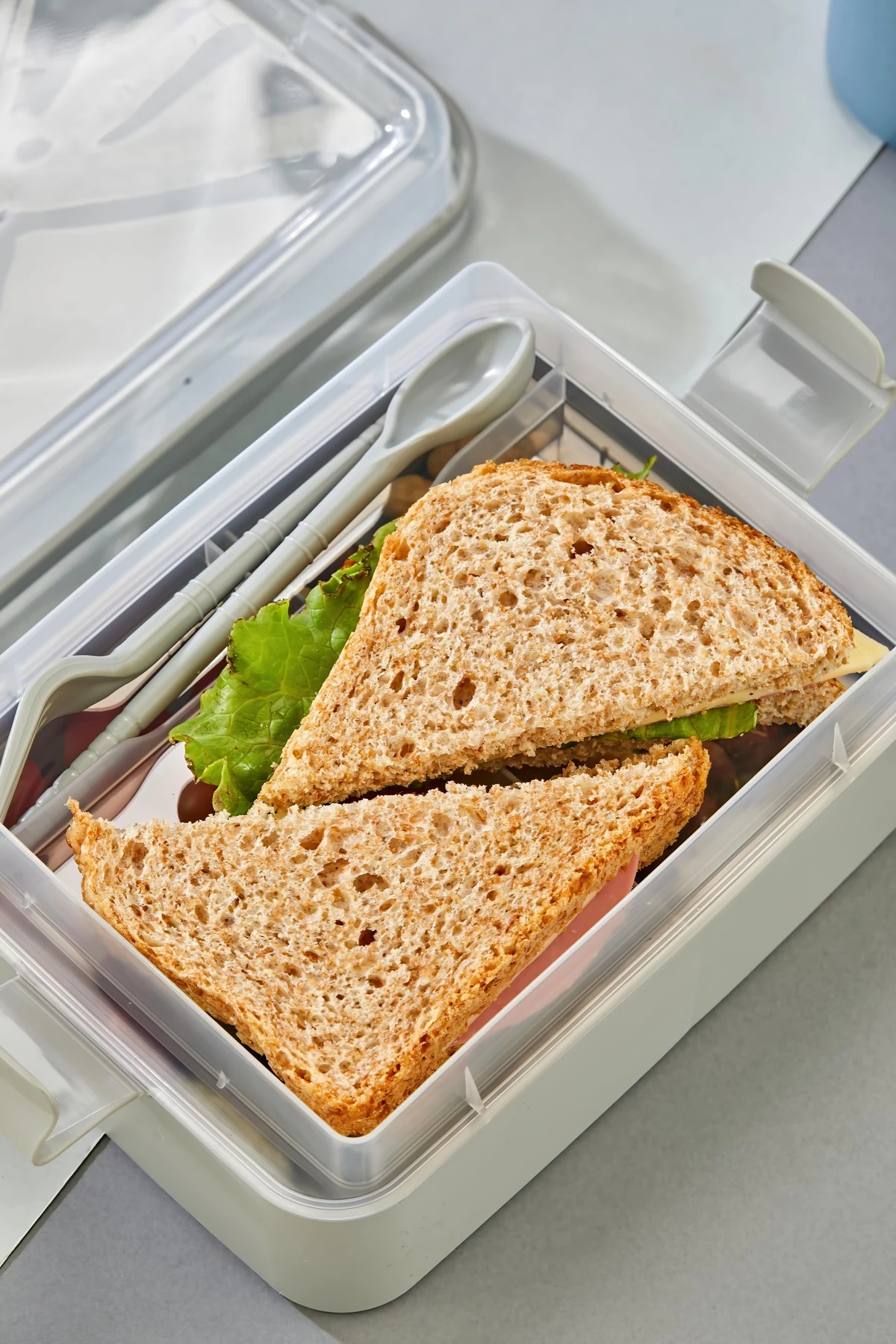 Beslenme Kutusu Açık Mavi