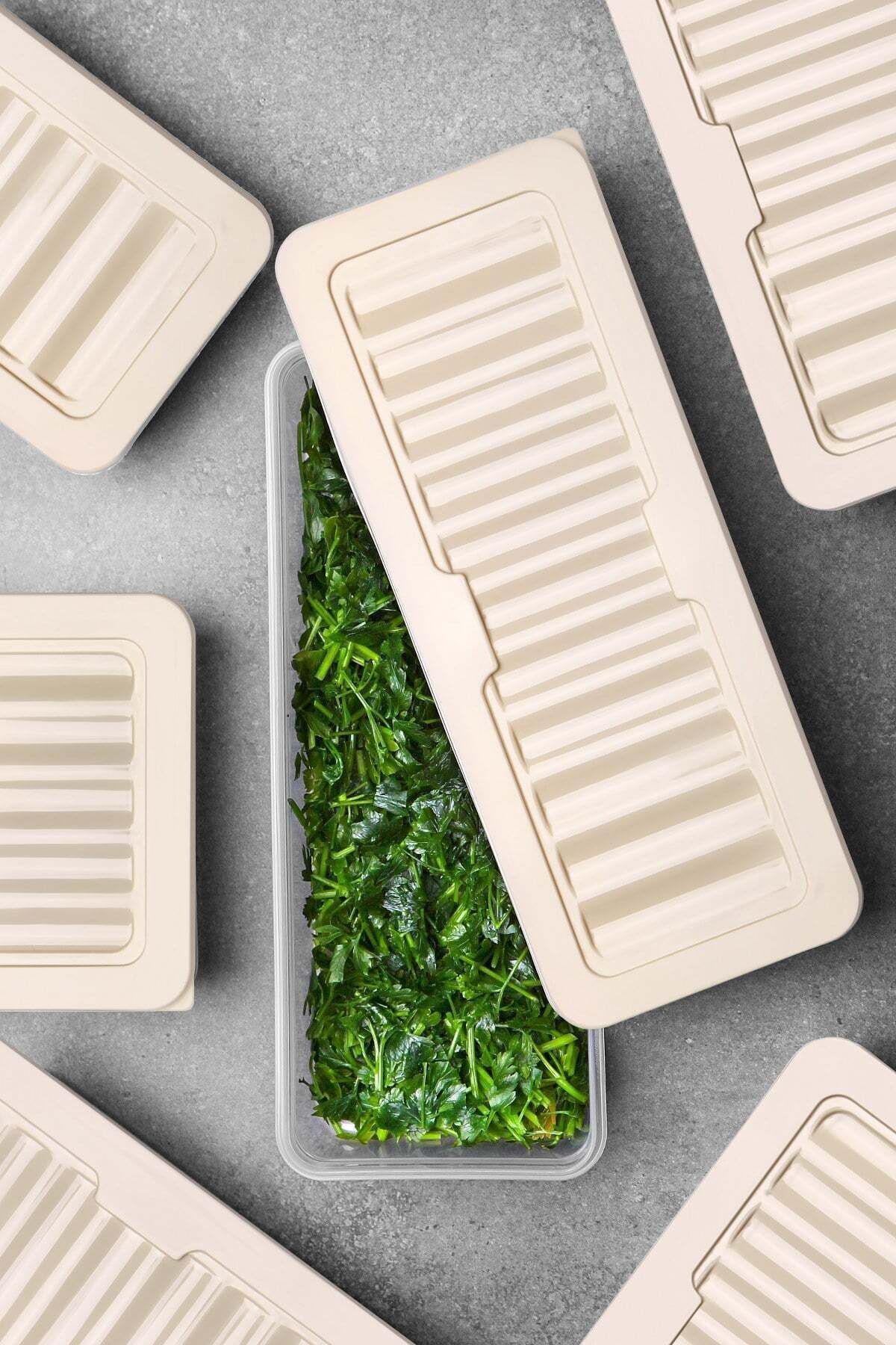 18'li Set Freshbox Mikrodalga Ve Difrize Uygun Saklama Kabı KREM