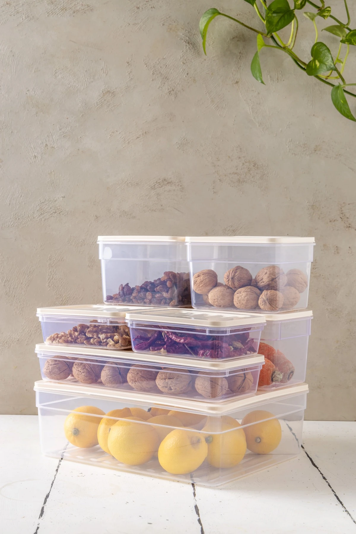 7'li Set New Freshbox Mikrodalga Ve Difrize Uygun Saklama Kabı KREM