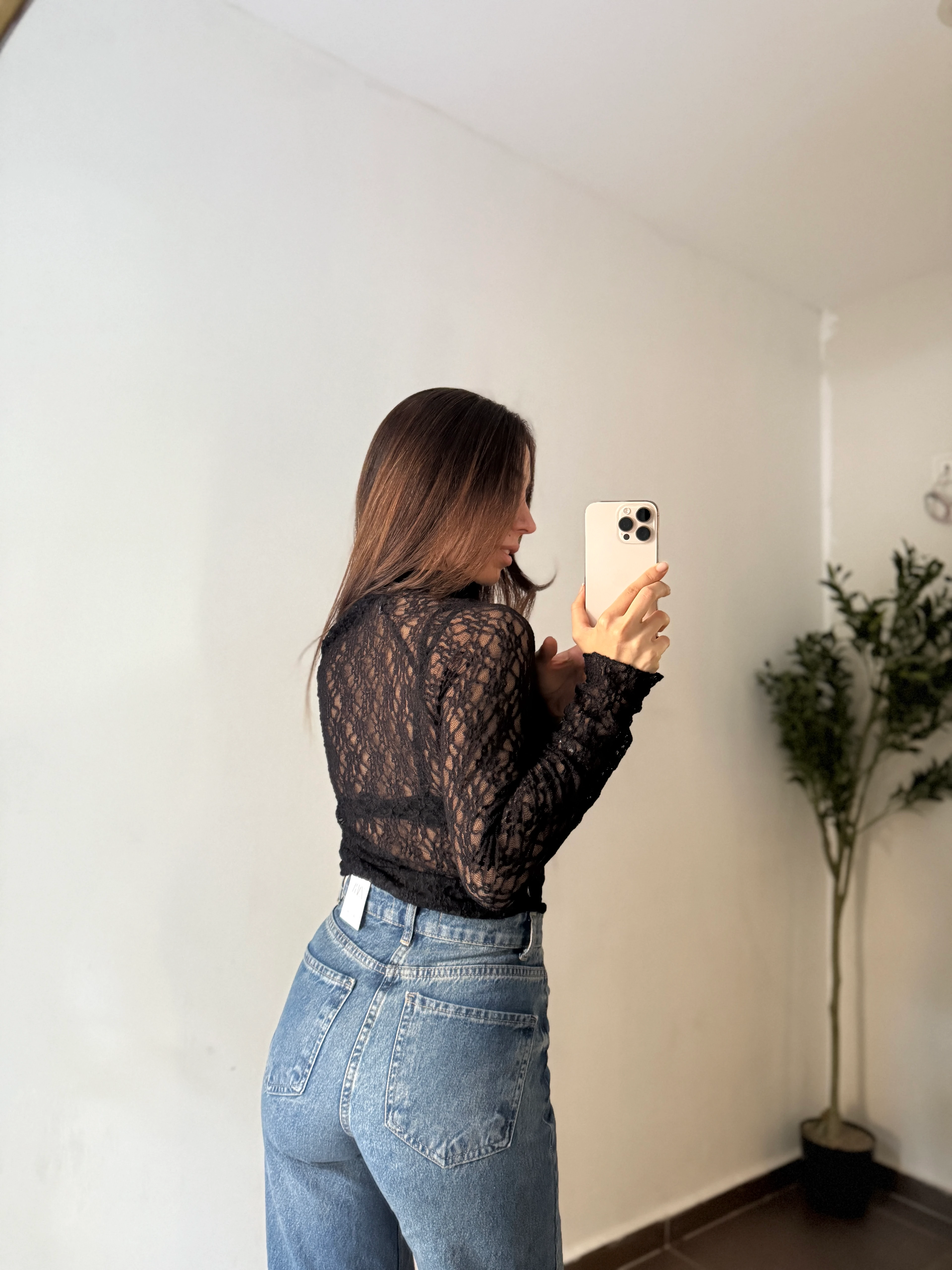 DANTEL TRANSPARAN BODY