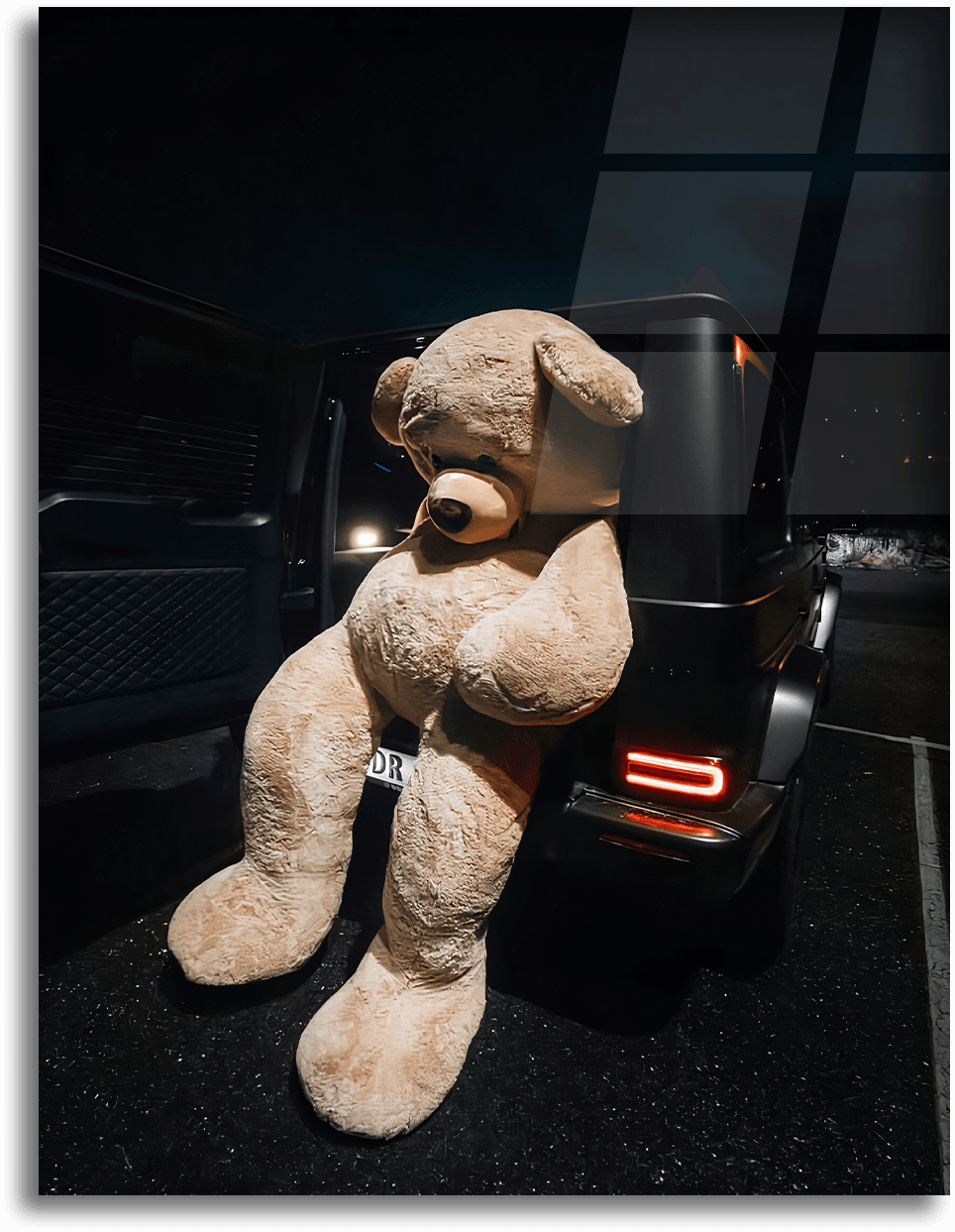 Bear - Midnight Passenger 