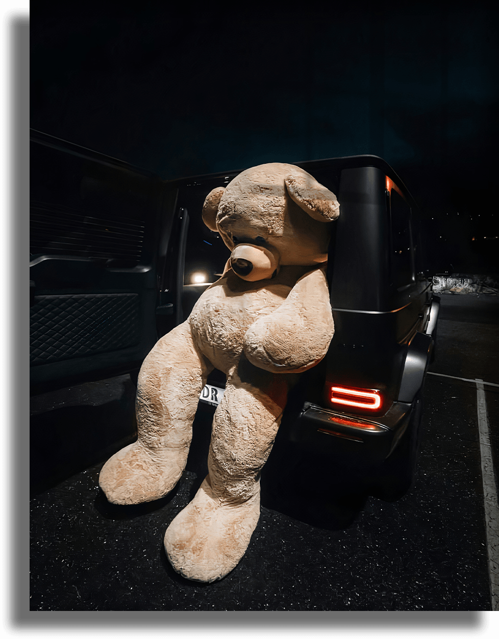 Bear - Midnight Passenger 