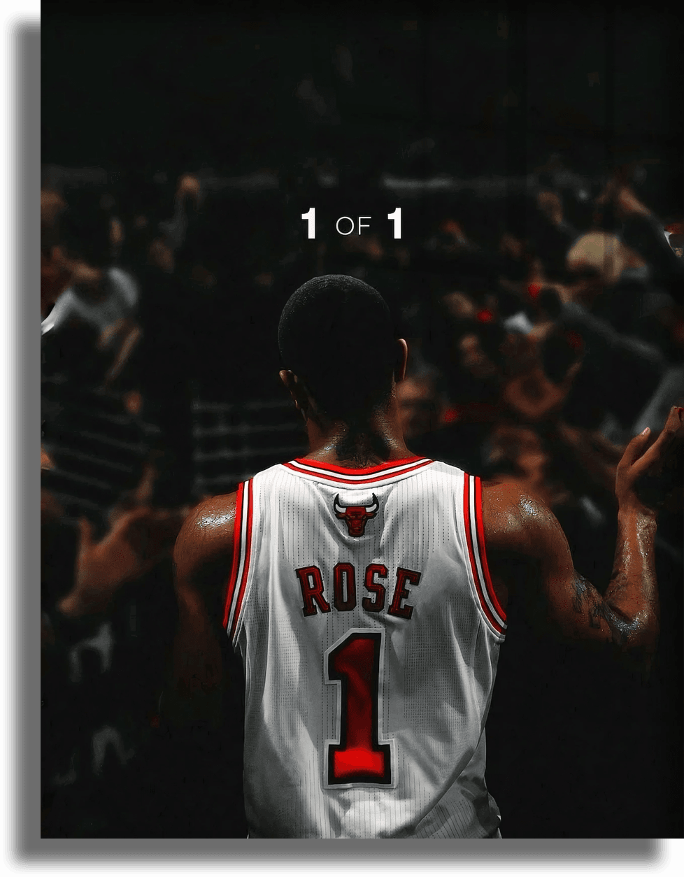 Derrick Rose 1 Of 1