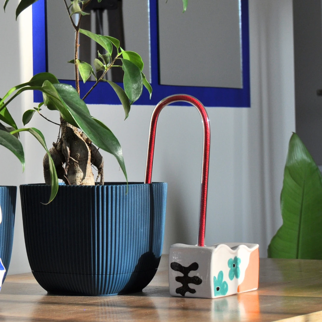 Tanysip / Kırmızı