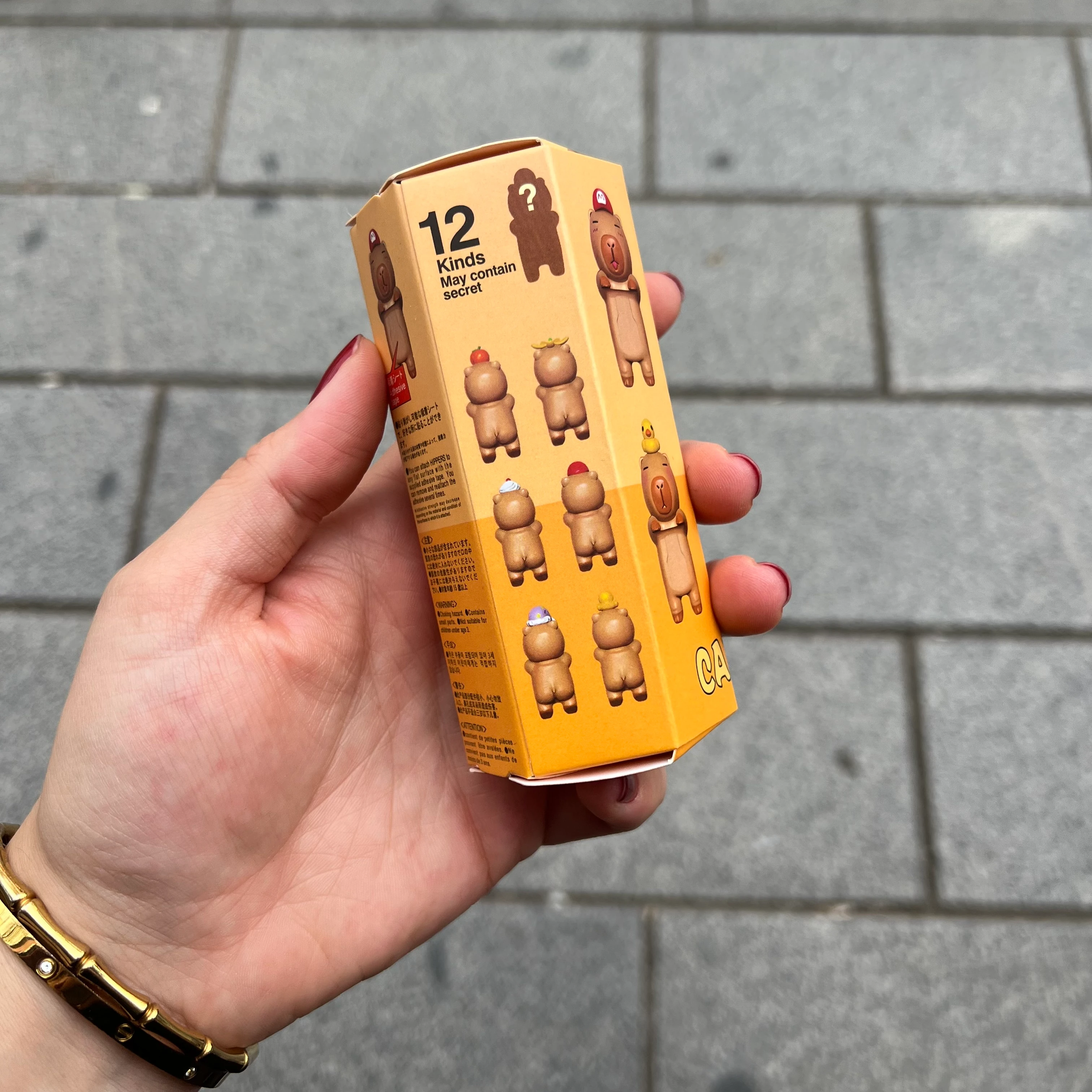 Capybara Seri Sonny Angel