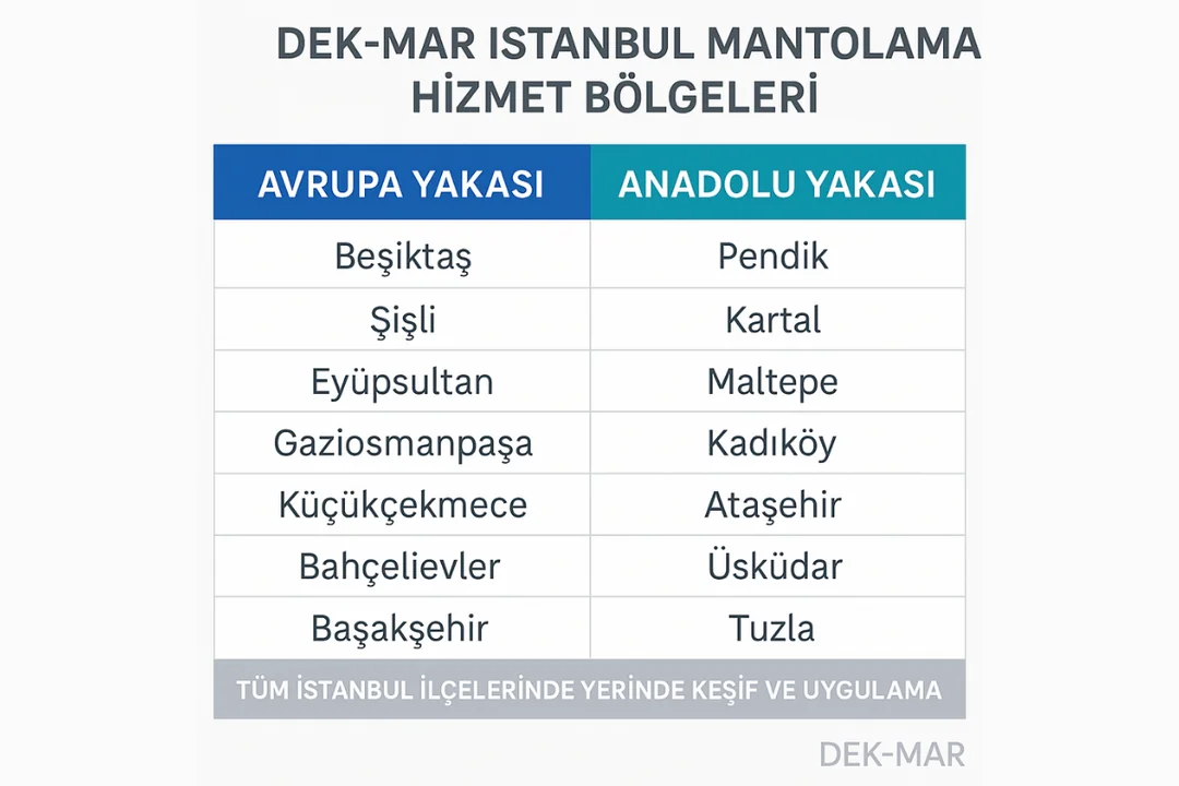 Dek-Mar İnşaat İstanbul mantolama hizmet bölgeleri – Avrupa ve Anadolu Yakası ilçeleri listesi 2025
