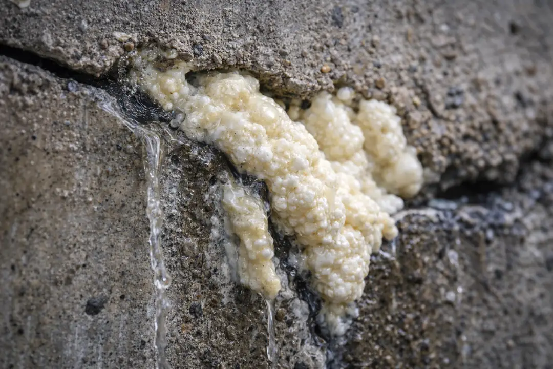 Beton çatlaklarında uygulanan poliüretan enjeksiyonun genleşerek su sızıntısını durdurduğu detay görünüm, su yalıtımı uygulaması örneği.&nbsp;
