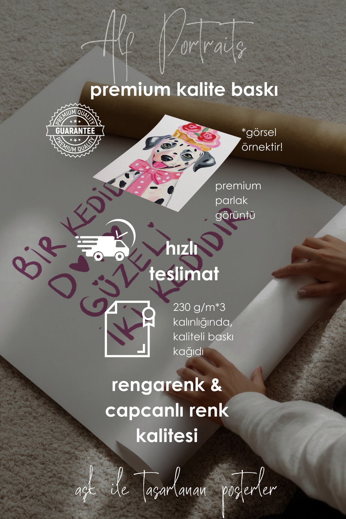 'Bir kediden daha güzeli iki kedidir' Çerçevesiz Poster