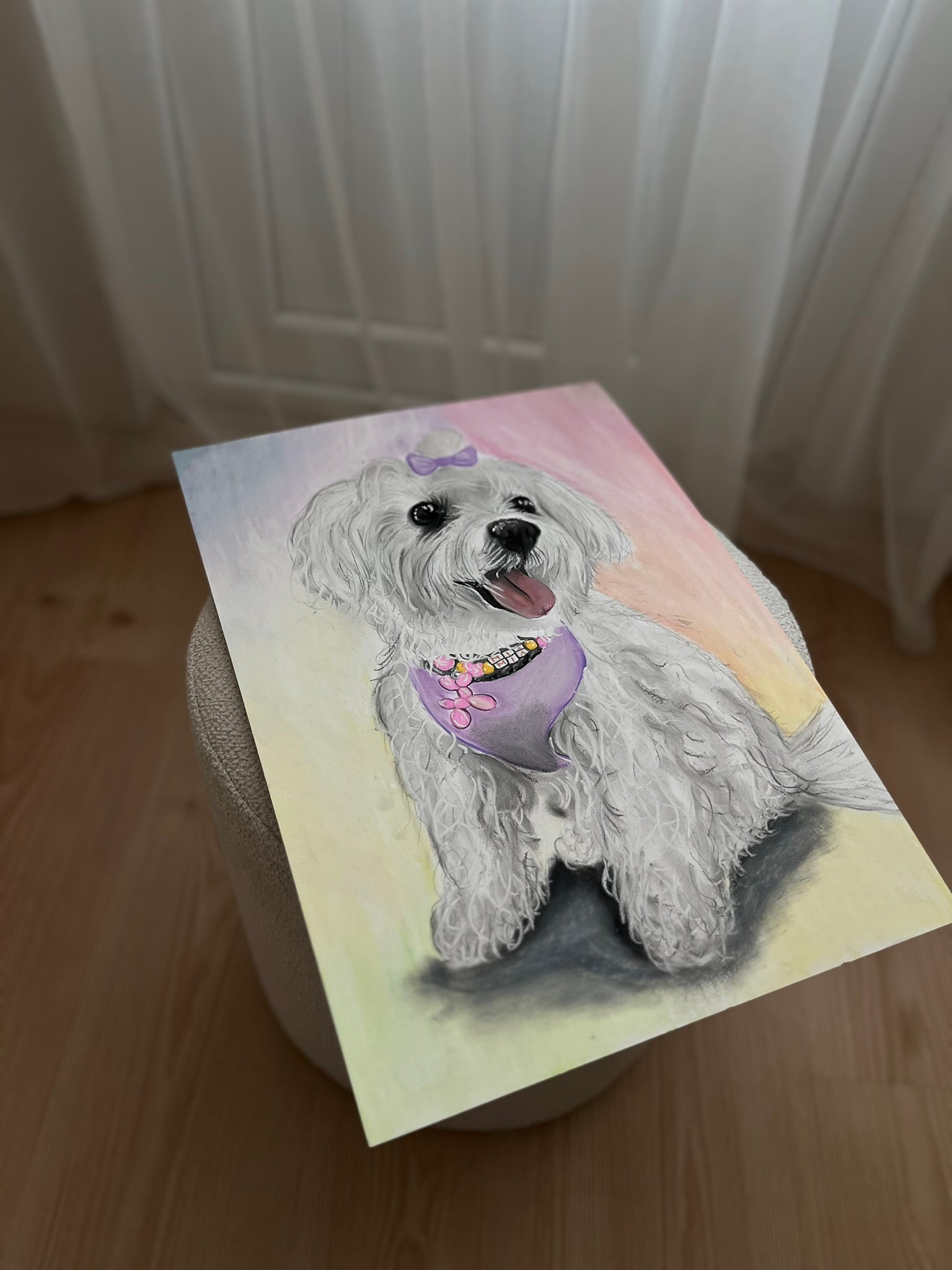 Pastel Arkaplanlı Evcil Hayvan Portresi