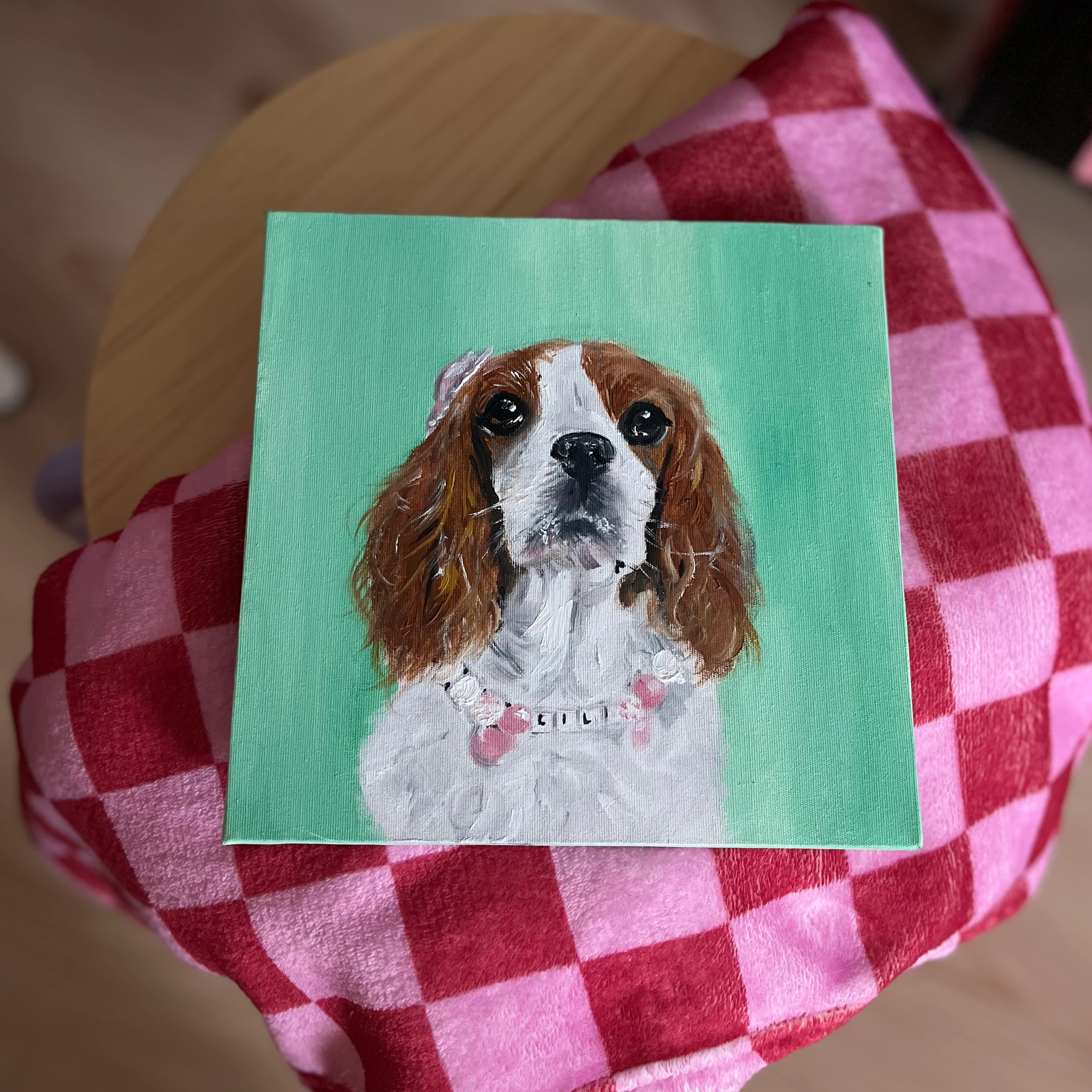 20x20 Canvas Evcil Hayvan Tablo