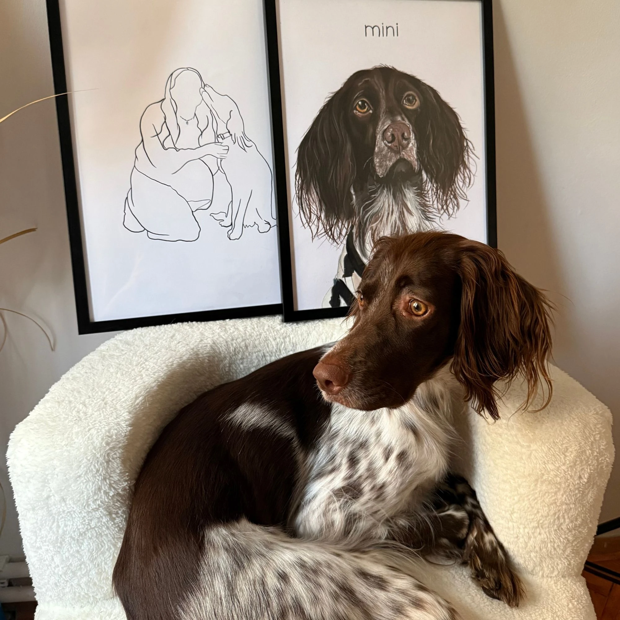 İnsan & Hayvan Portresi Çizgi Tasarım