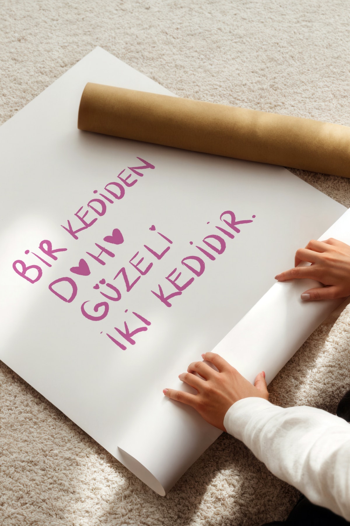 'Bir kediden daha güzeli iki kedidir' Çerçevesiz Poster