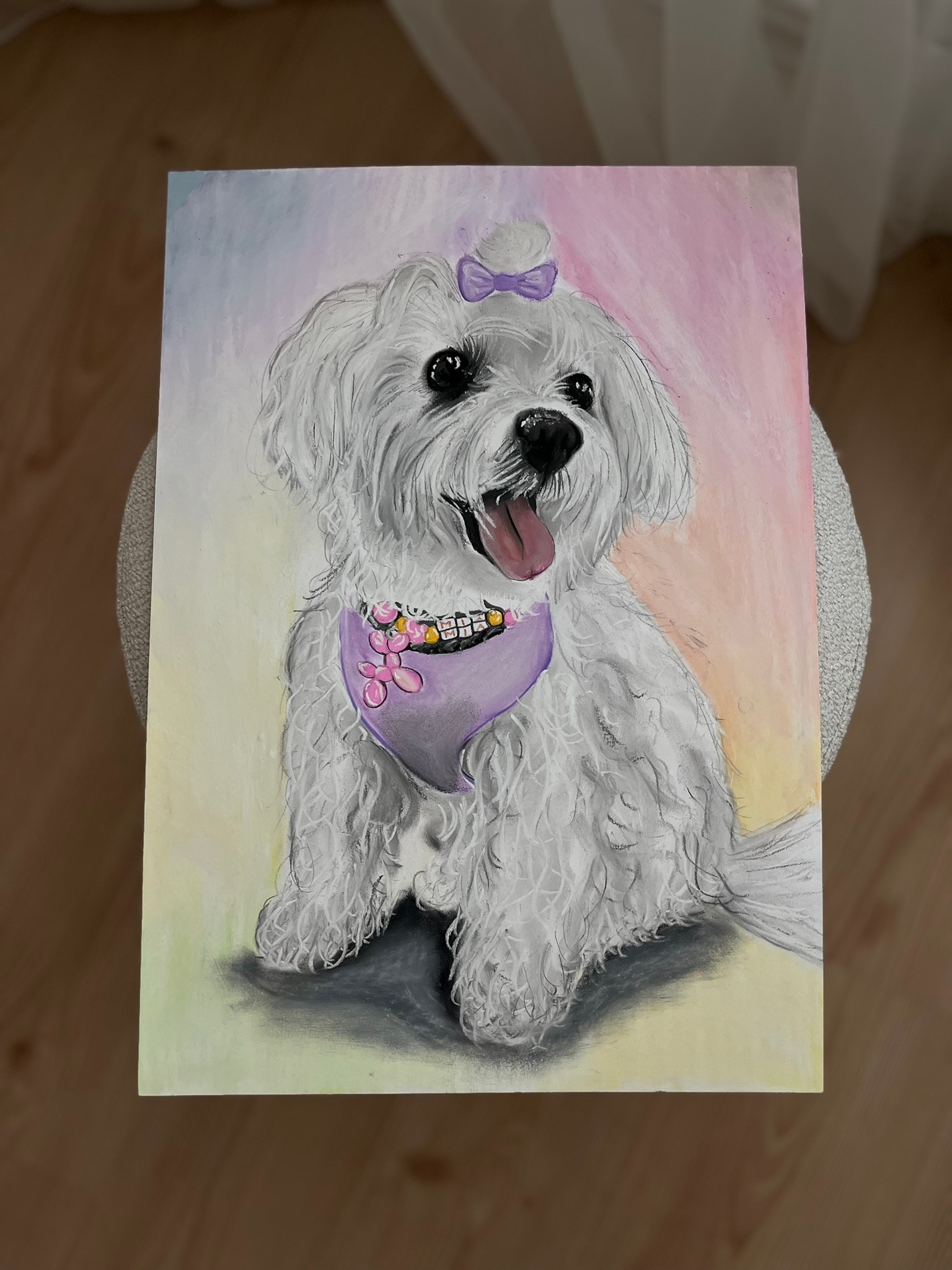 Pastel Arkaplanlı Evcil Hayvan Portresi