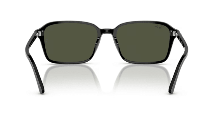 RB2231 - Raimond