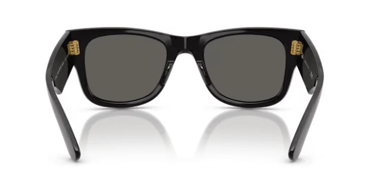 RB0840S - Mega Wayfarer