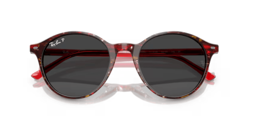 RB2230 - Bernard