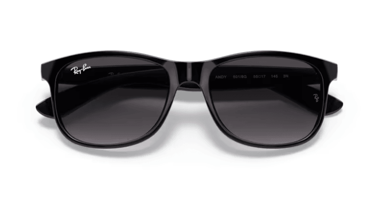 RB4202 - Andy