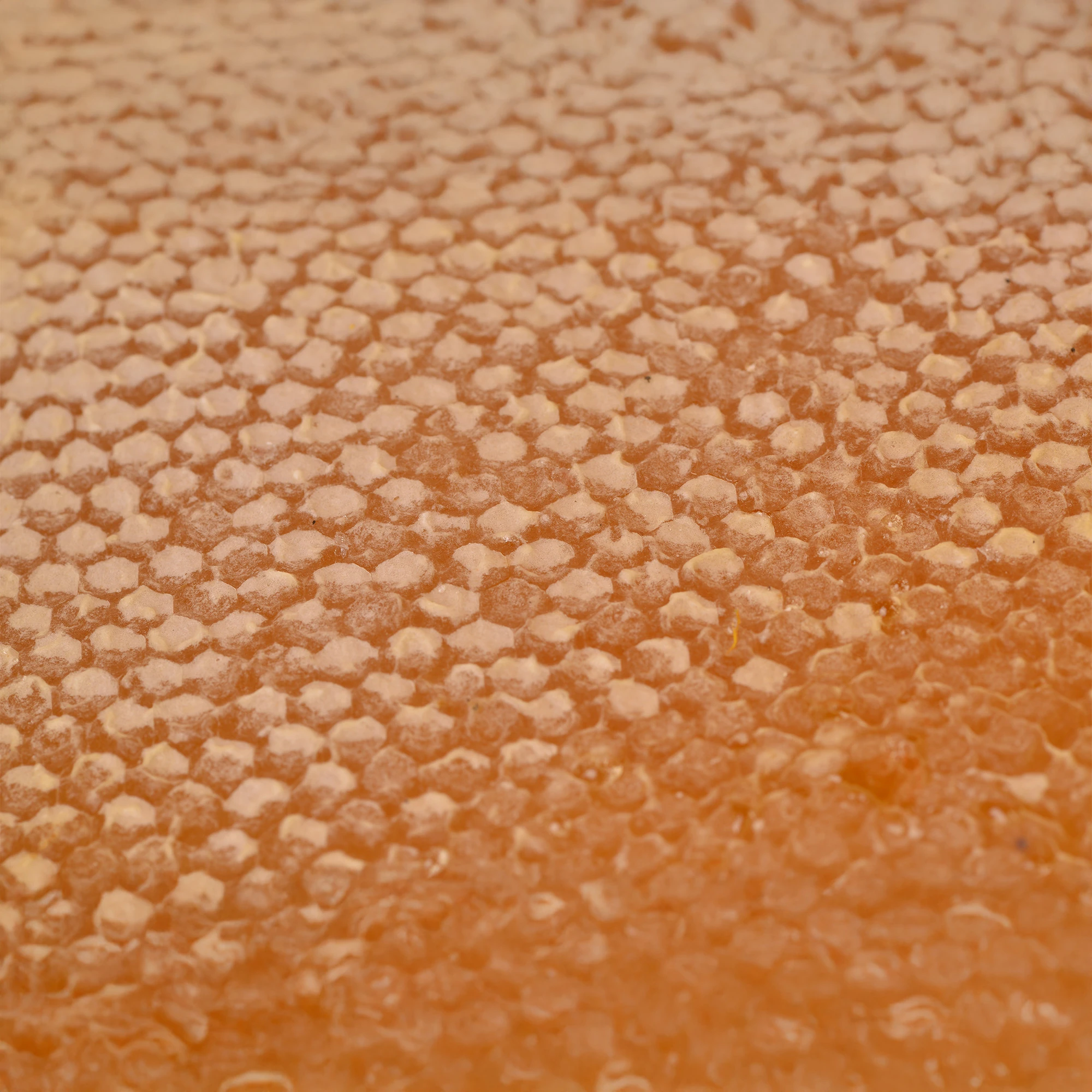 Katkısız Karakovan Petek Bal 850 g