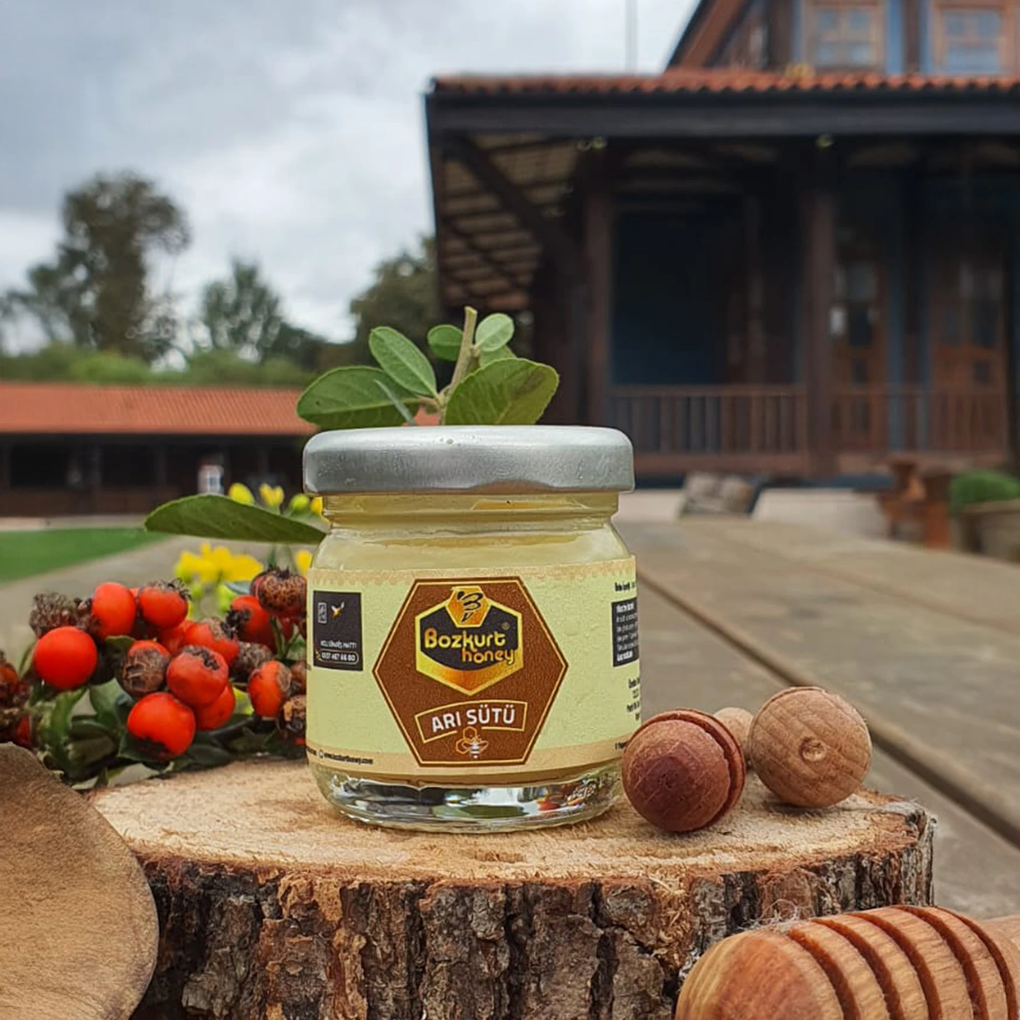 Doğal Arı Sütü 10 cc