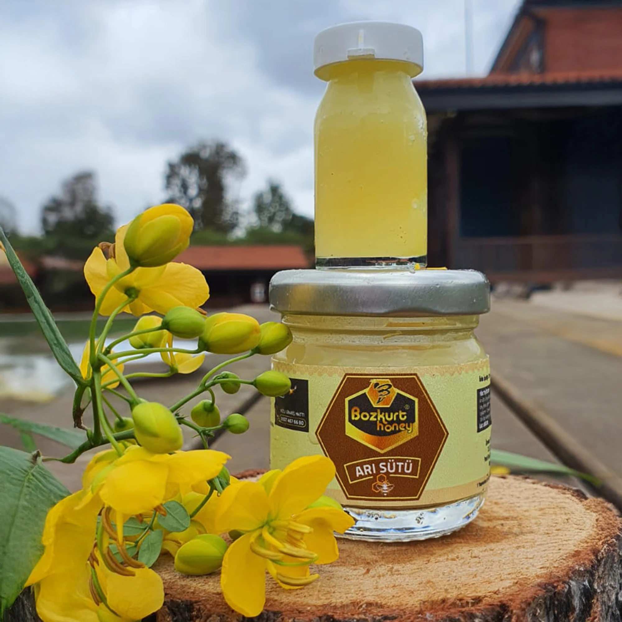 Doğal Arı Sütü 10 cc