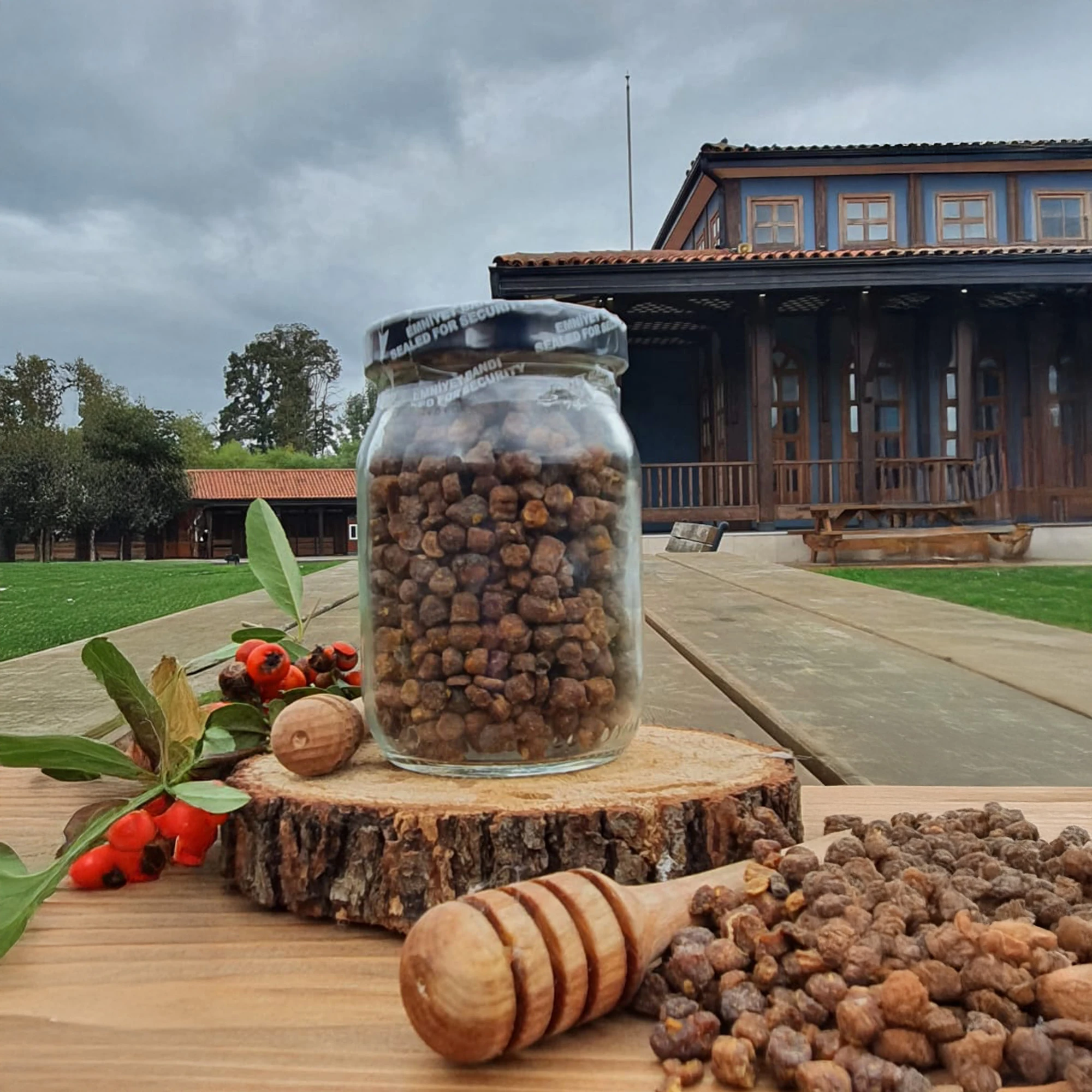 Perga Arı Ekmeği 90 g