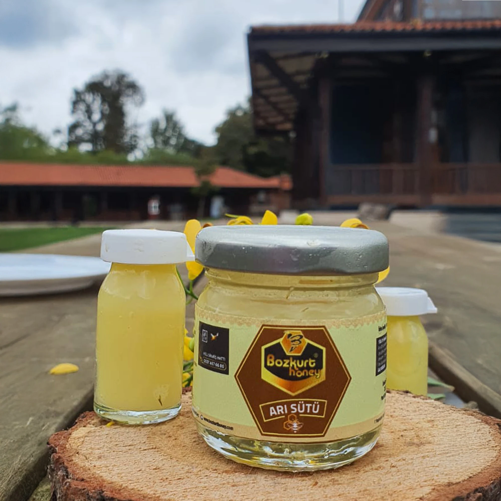 Doğal Arı Sütü 10 cc