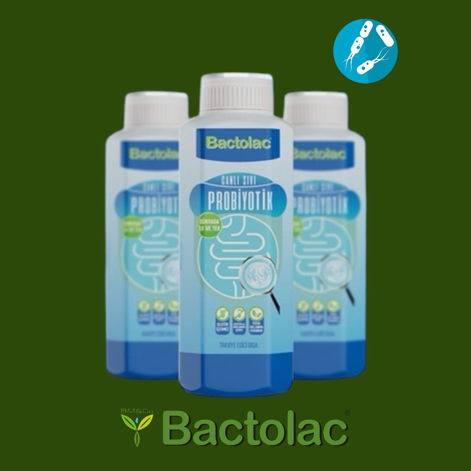 Lactobacillus Plantarum