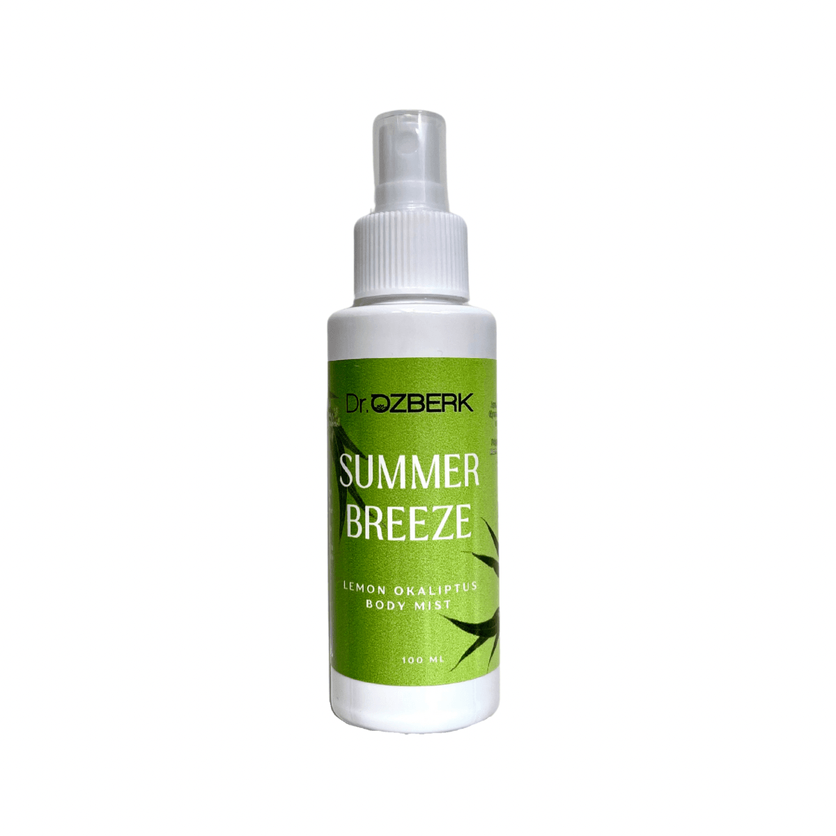 SUMMER BREEZE BODY MIST 100 ML