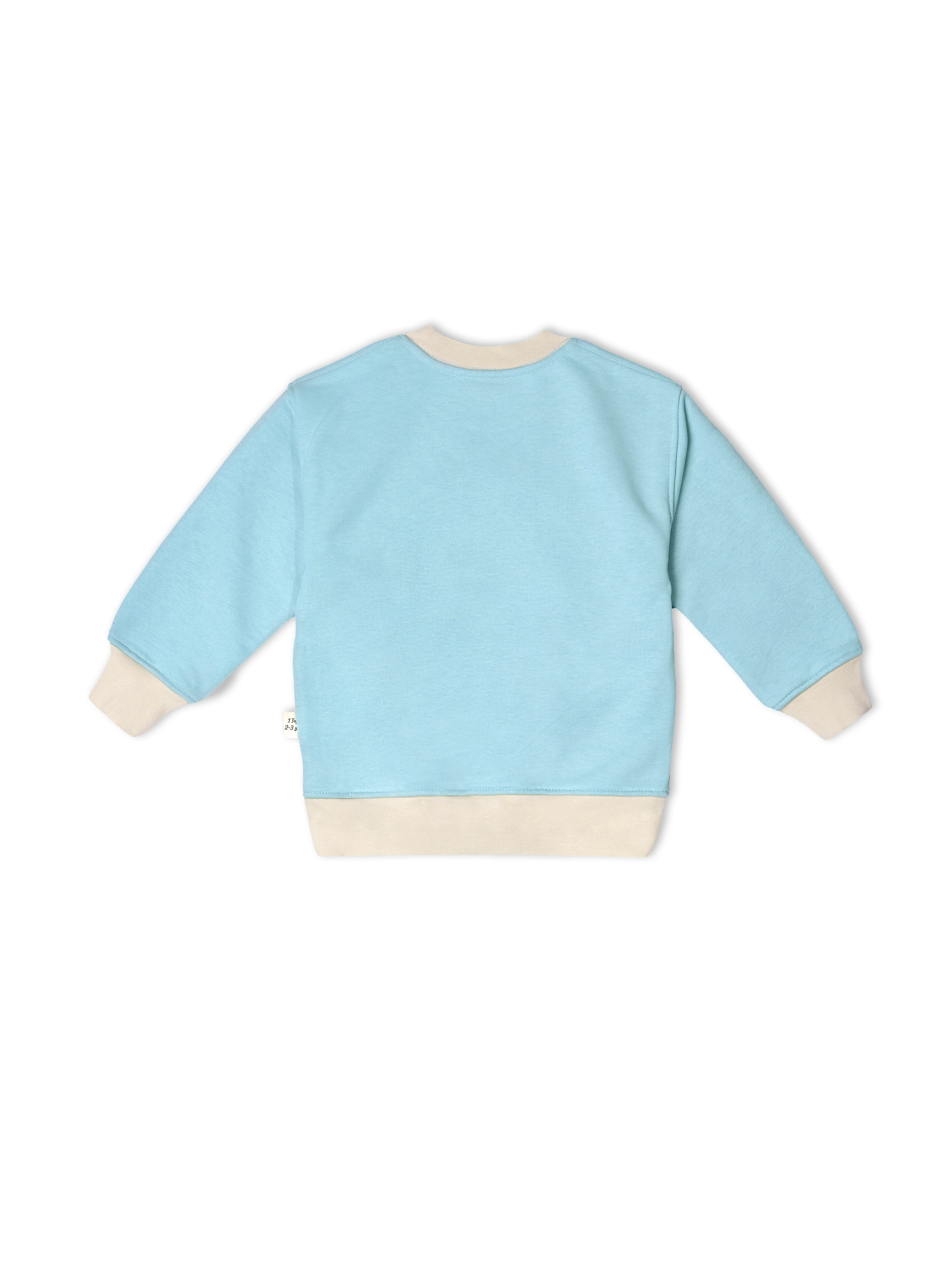 Bebek Mavisi 1.0 Tog %100 Pamuk Gece&Gündüz İkili Takım