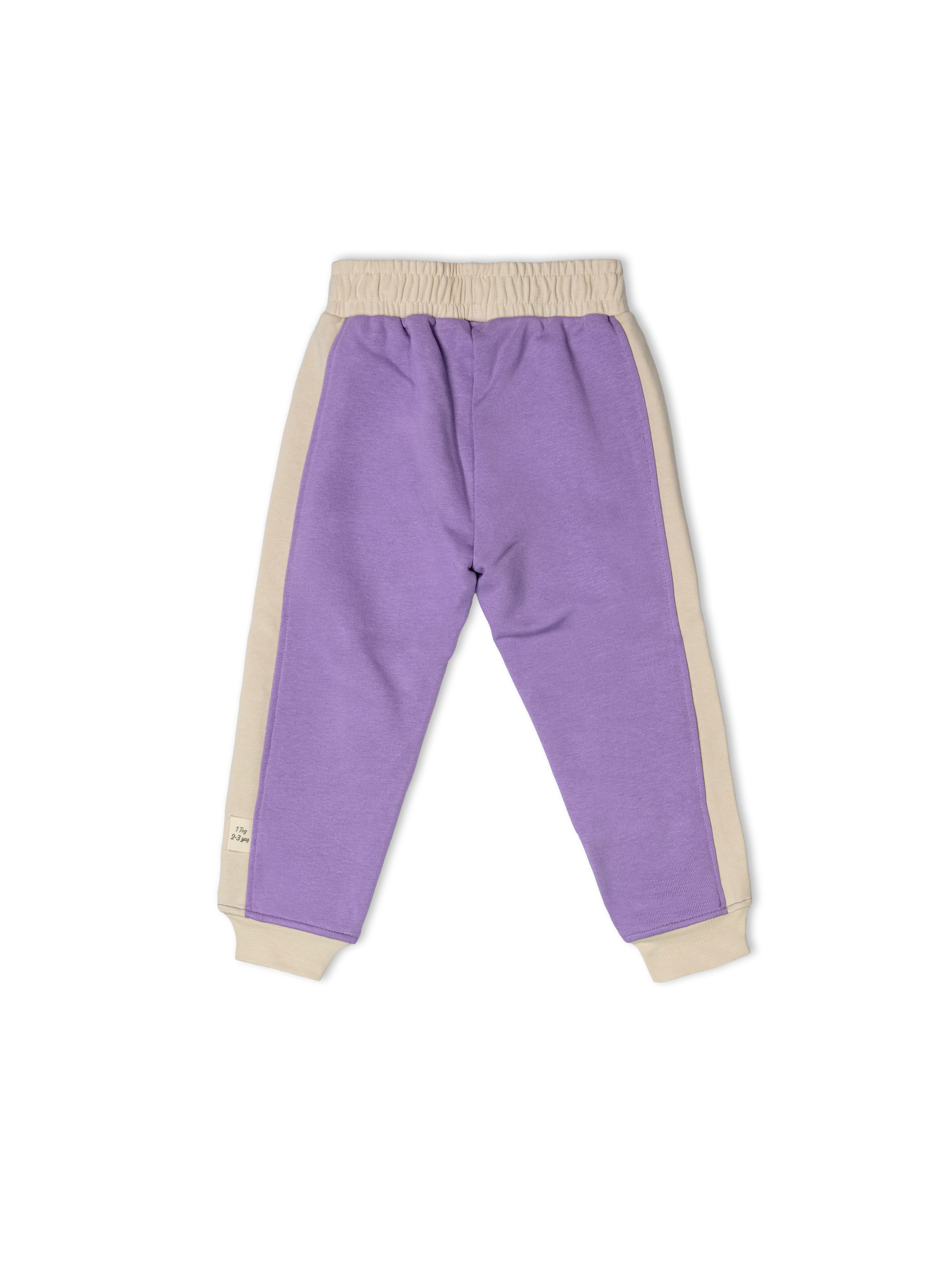 Lila 1.0 Tog %100 Pamuk Gece&Gündüz İkili Takım