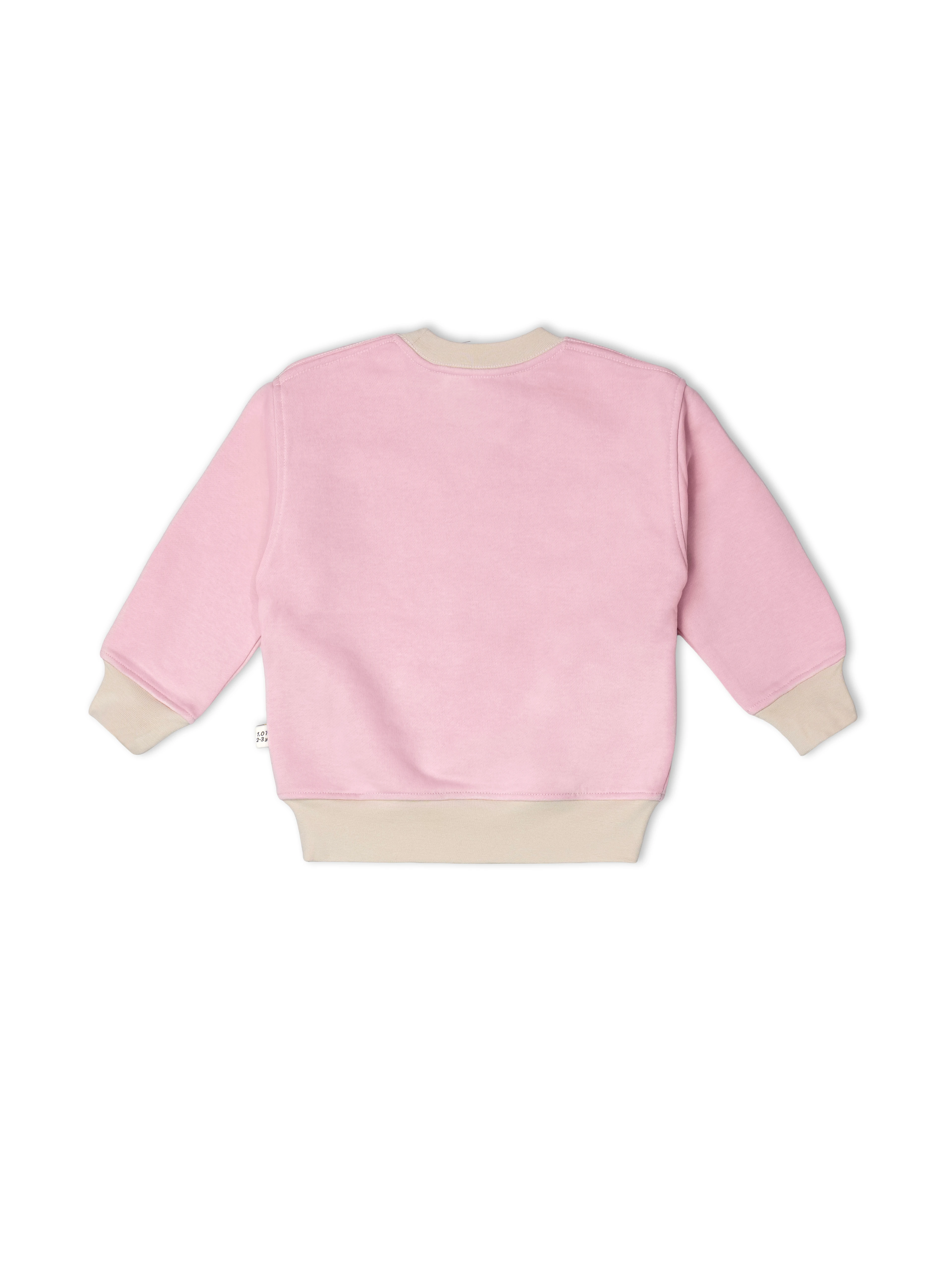 Pudra Pembe 1.0 Tog %100 Pamuk Gece & Gündüz İkili Takım