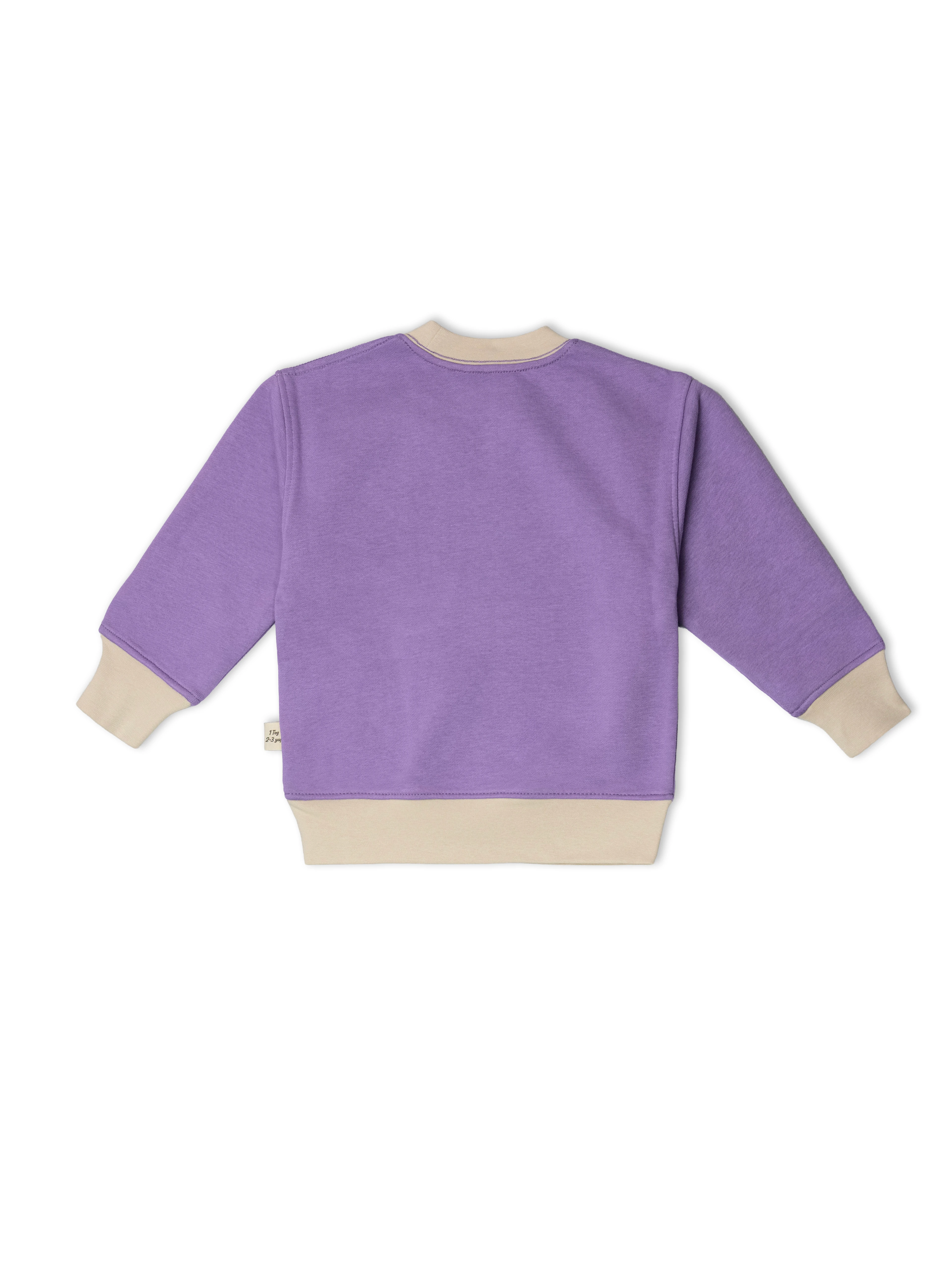 Lila 1.0 Tog %100 Pamuk Gece&Gündüz İkili Takım