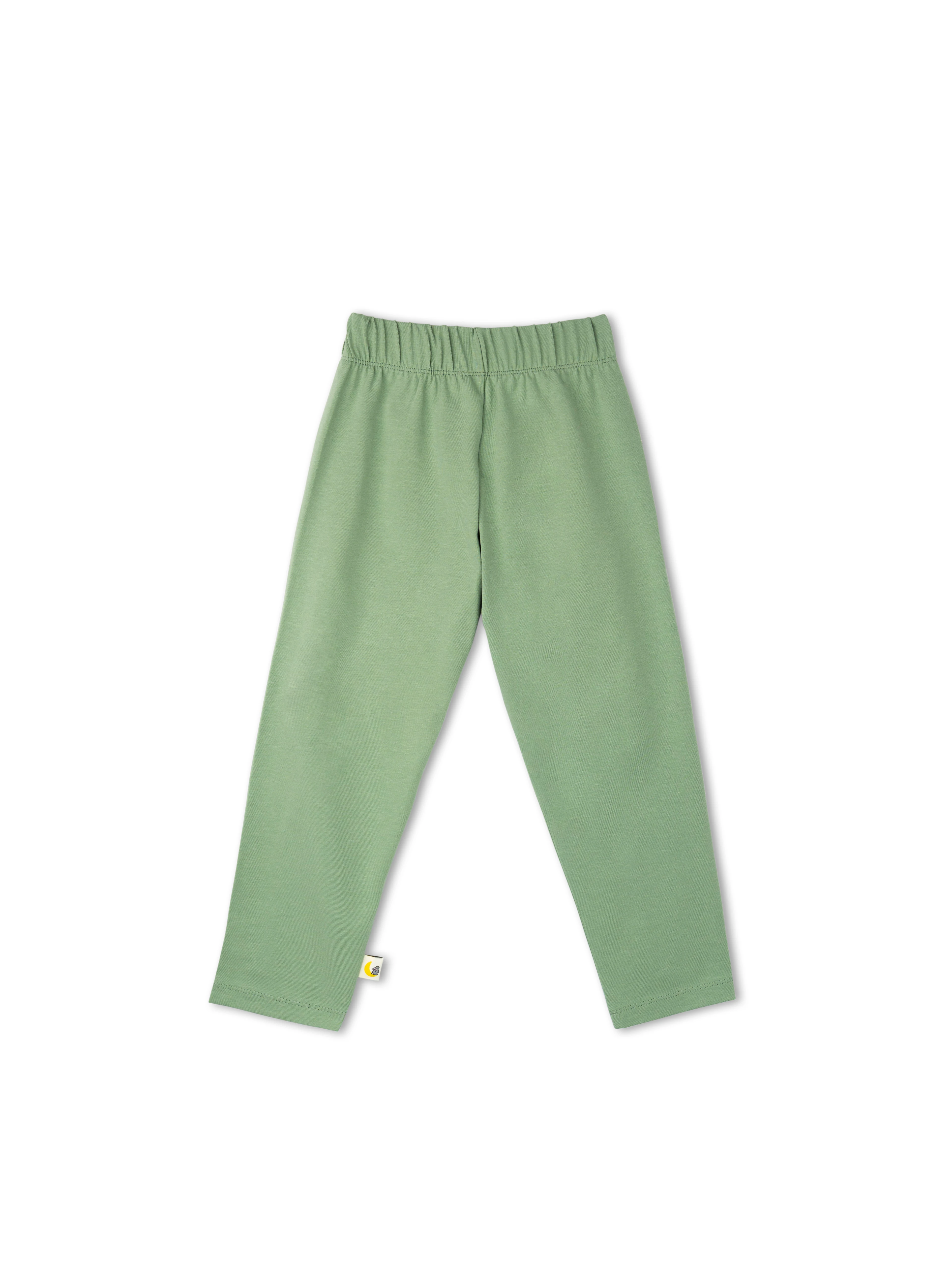 Çağla Yeşili 0.2 Tog Organik Pamuk Gece & Gündüz İkili Takım