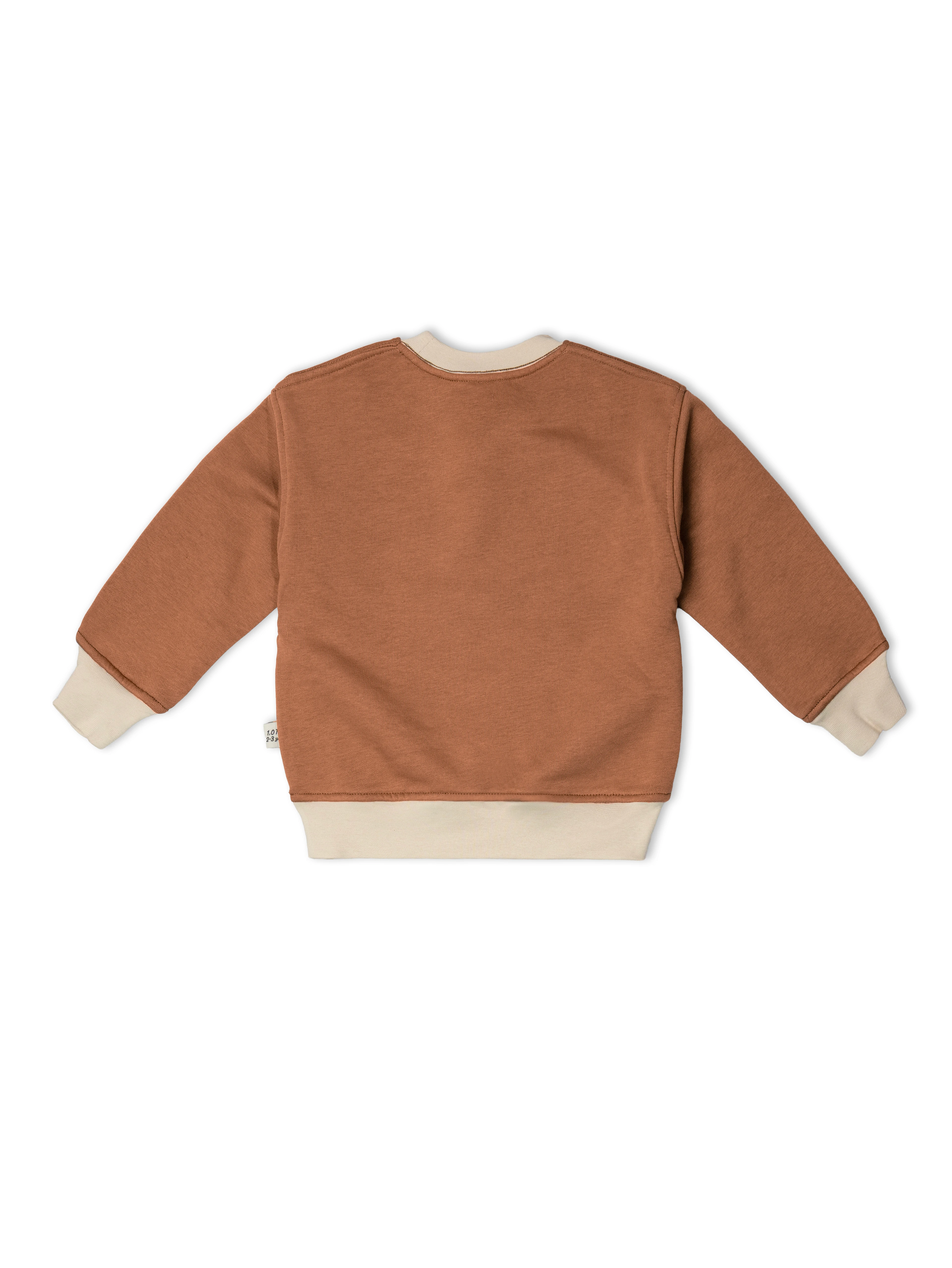 Çikolata Kahvesi 1.0 Tog %100 Pamuk Gece & Gündüz İkili Takım