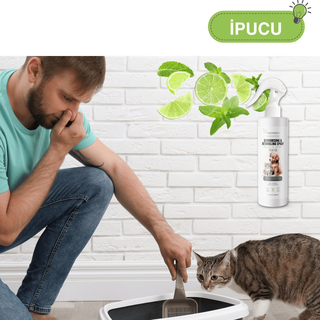 Kıtık Açıcı Koku Giderici Kolay Tarama Spreyi Vegan Kedi Köpek Uzun Kısa Parlak Tüyler 400 Ml*2