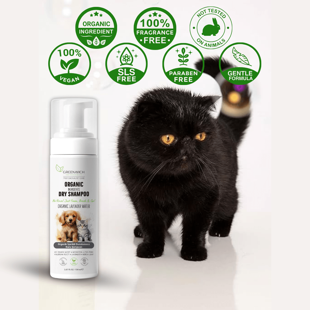 Kuru Şampuan 150 ml | Parazit Bir Pire Mantar Uzaklaştırıcı | Parfümsüz | Kedi Köpek