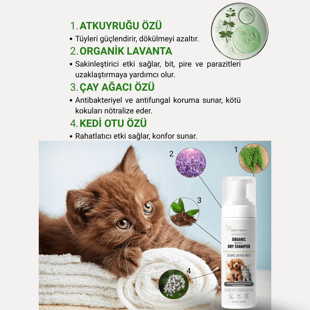 Kuru Şampuan 150 ml | Parazit Bir Pire Mantar Uzaklaştırıcı | Parfümsüz | Kedi Köpek