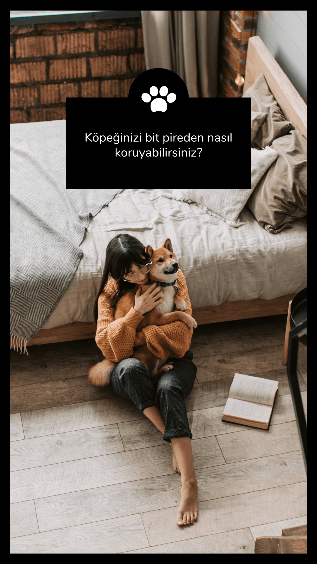 Köpeklerde sık rastlanan bit pirelere karşı neler yapılabilir?