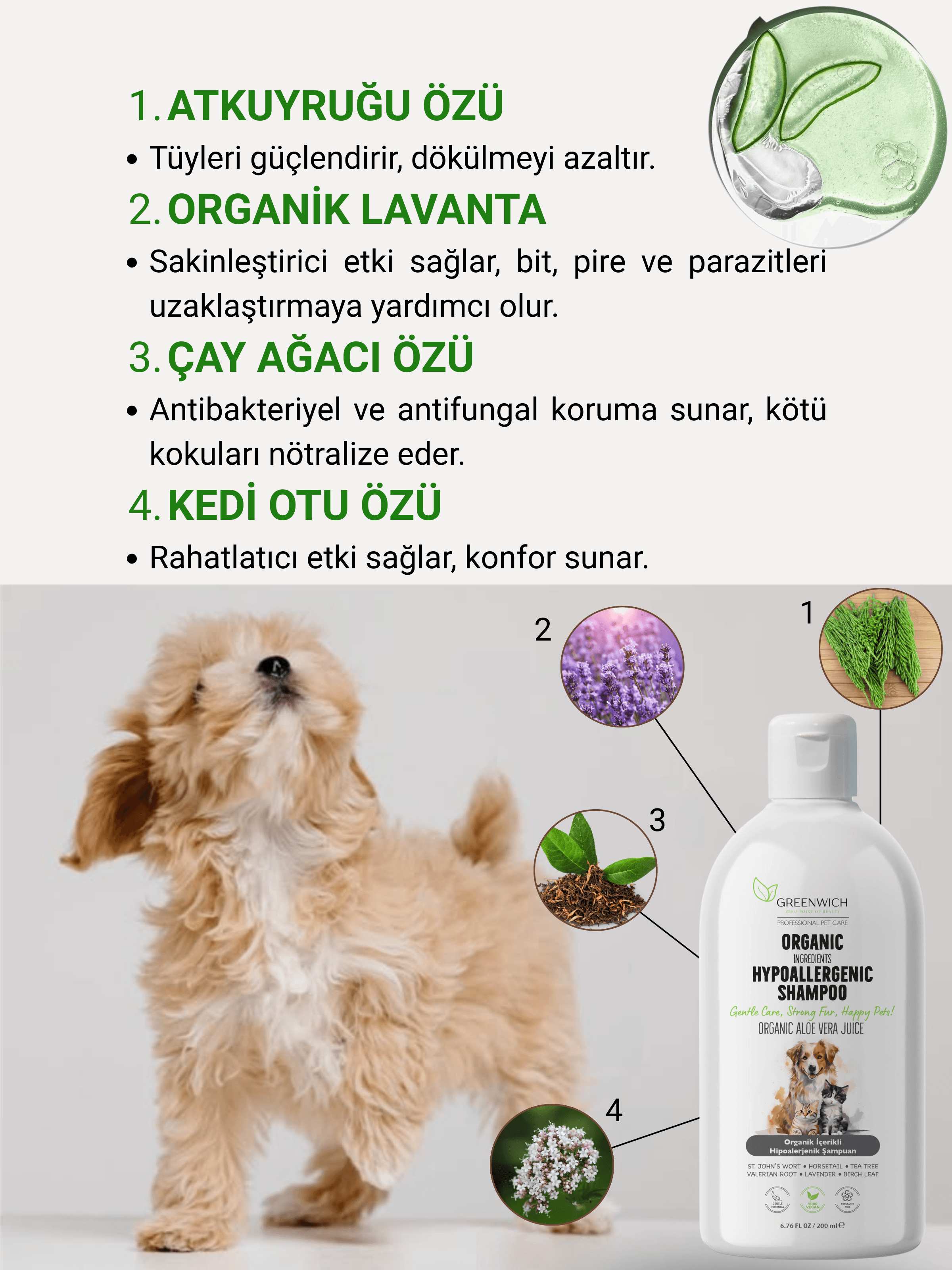 Hipoalerjenik Şampuan 200 ml | Parazit Bit Pire Mantar Uzaklaştırıcı | Esanssız | Kedi Köpek